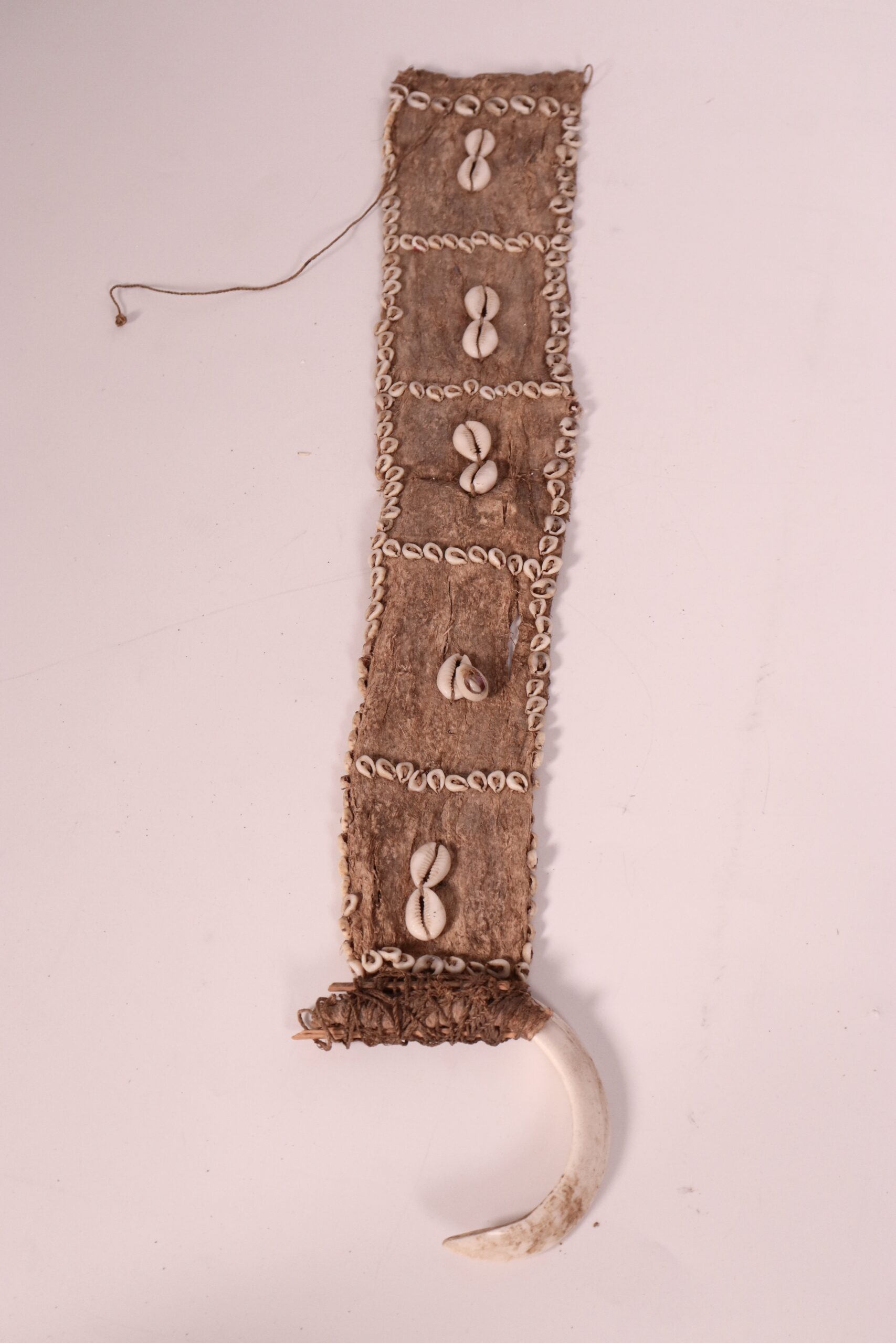 Fibrous sheet with shells and tusk