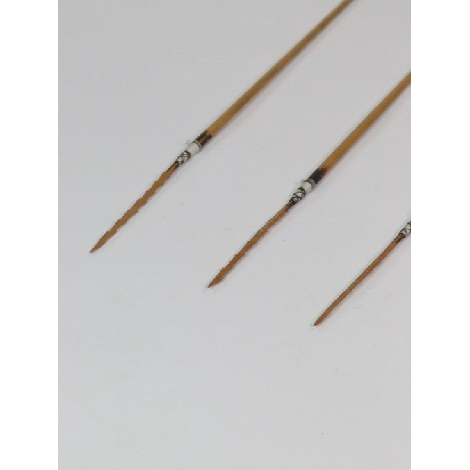close up of arrow spears 

